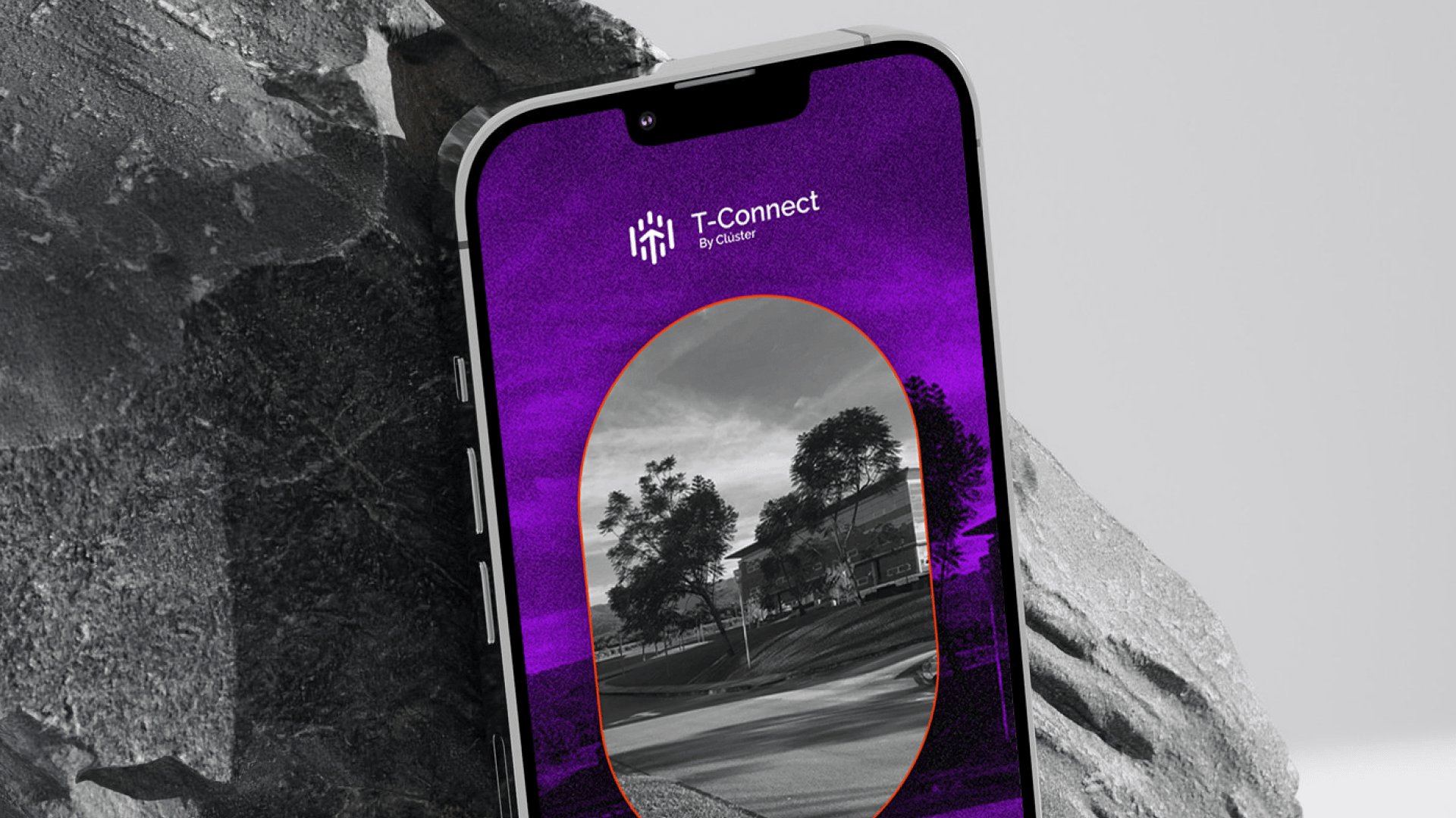 T-Connect - Plataforma para Networking
